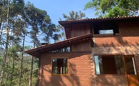 Casa Araucária